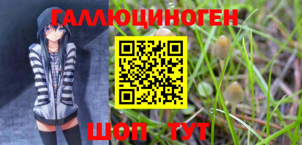 Новочебоксарск  Псилоцибиновые грибы GOLDEN TEACHER  Вход с VPN 